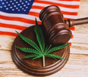 Cannabis with gavel - Getty Images