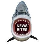 Podcast News Bites: Joe Rogan, Brené Brown, Democracy-ish, Infinite Dial, John Legend. - Vimarsana News