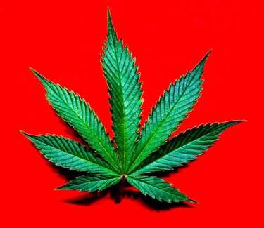 Marijuana - Getty Images