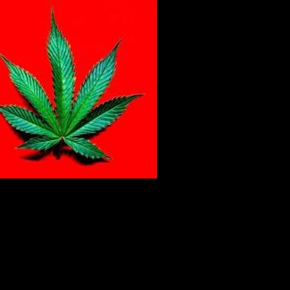 In Ireland, Radio Executive Faces Cannabis Charges After U.S. Parcel Seized.
