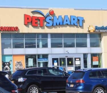 Research Shows Pet Retailers' 4% Radio Spend Amounts To 'Massive