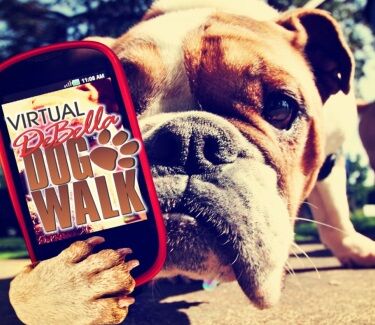 Virtual Dog Walk