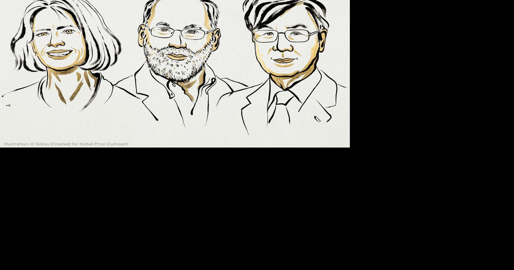 Nobel prize awarded for discovery of immune system’s ‘security guards’ | Health