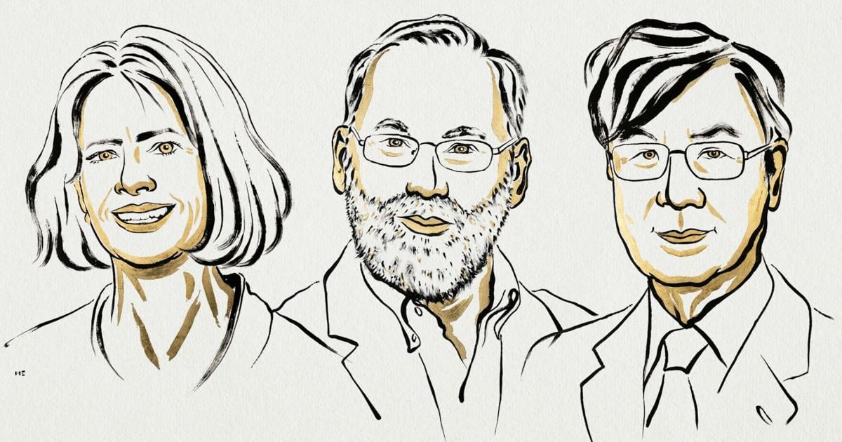 Nobel prize awarded for discovery of immune system’s ‘security guards’ | Health Nobel prize awarded for discovery of immune system’s ‘security guards’ | Health