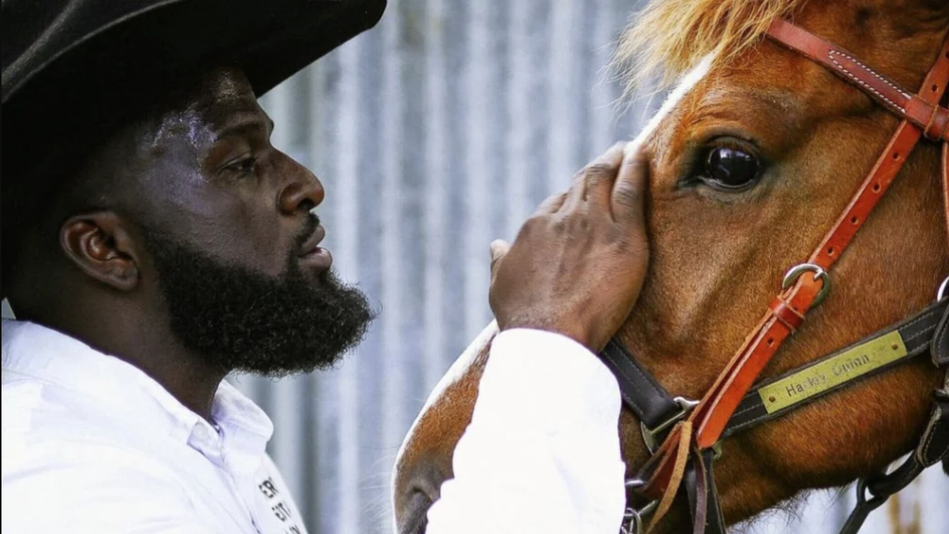 Black owned ranches you should know | Business | insightnews.com