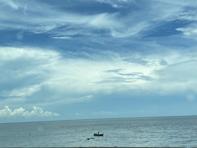 image1 (2).jpeg