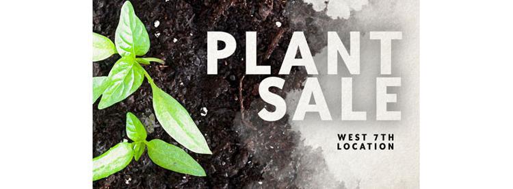 Mississippi Market Co Op Annual Plant Sale Calendar Insightnews Com