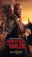 Godfather of Harlem, 2023: A review