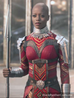 Badass Black women of the Dora Milaje in the Black Panther movie