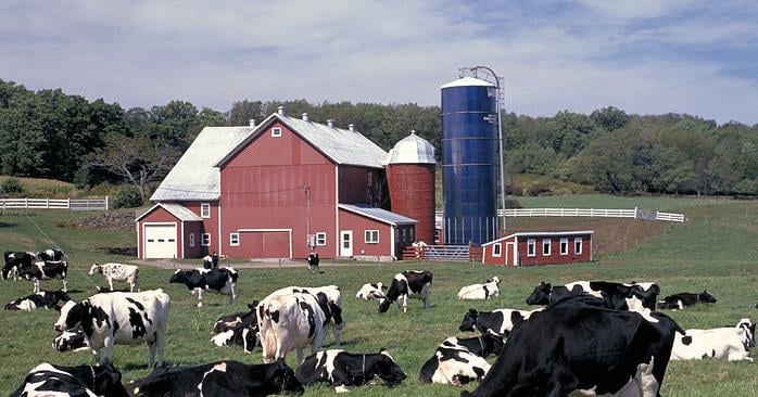 Wisconsin ag exports to China down 20 percent study says
