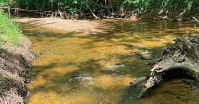 Trout Creek