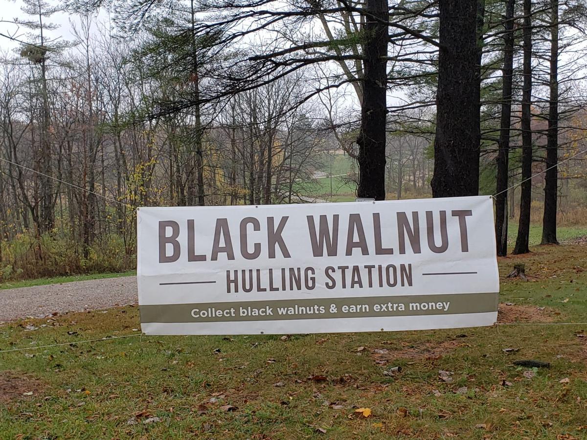 Oct. 26 Area buyer says American black walnut season winding down