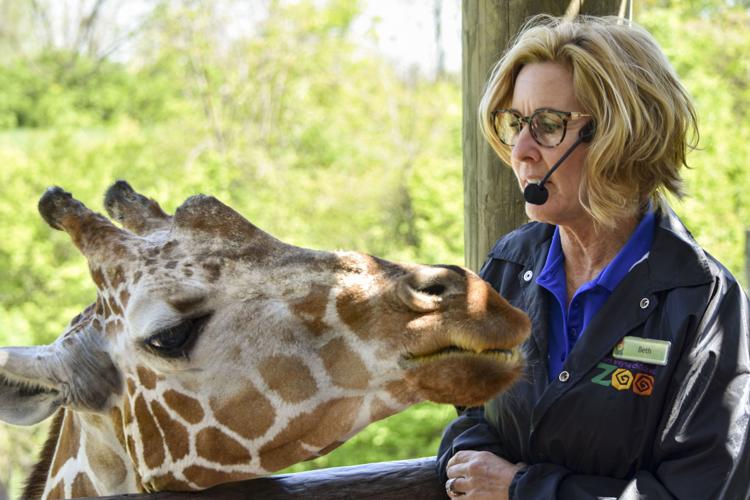job for me zoo hiring job for me zoo hiring