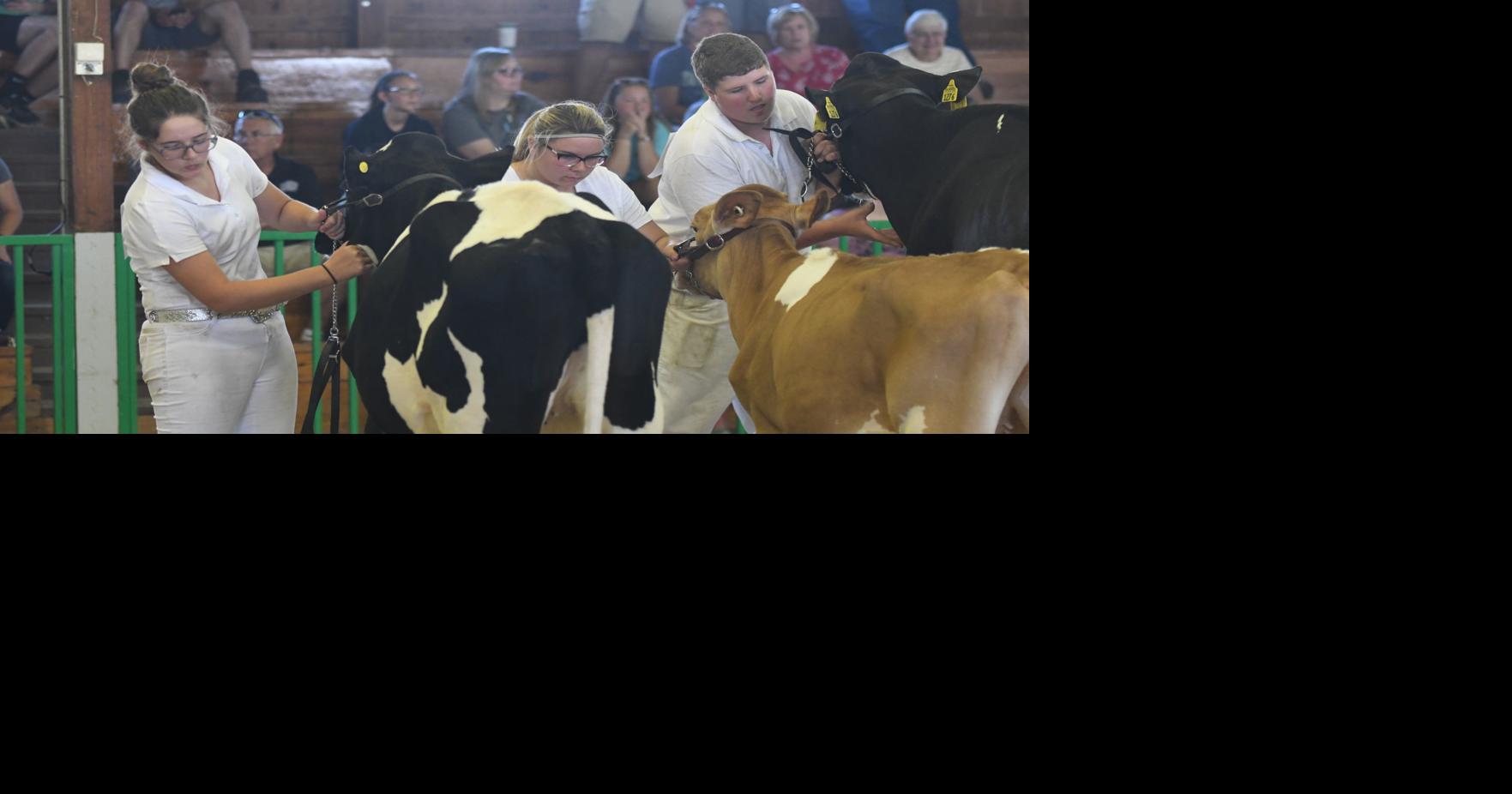 96th Annual Whitley County 4H Fair planned for July 1723 COVID19