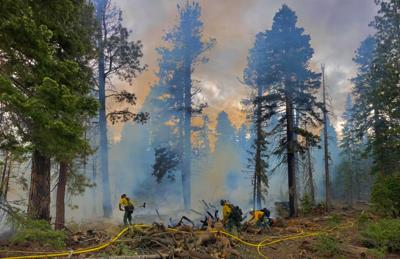 Forest Service fights fire