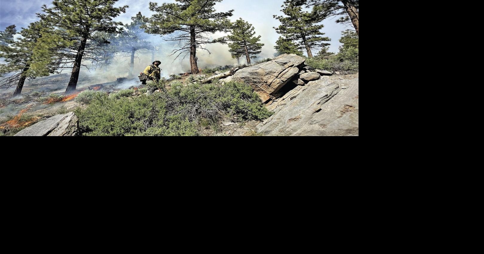 Inyo National Forest completes 1,713 acres of prescribed burning | News ...