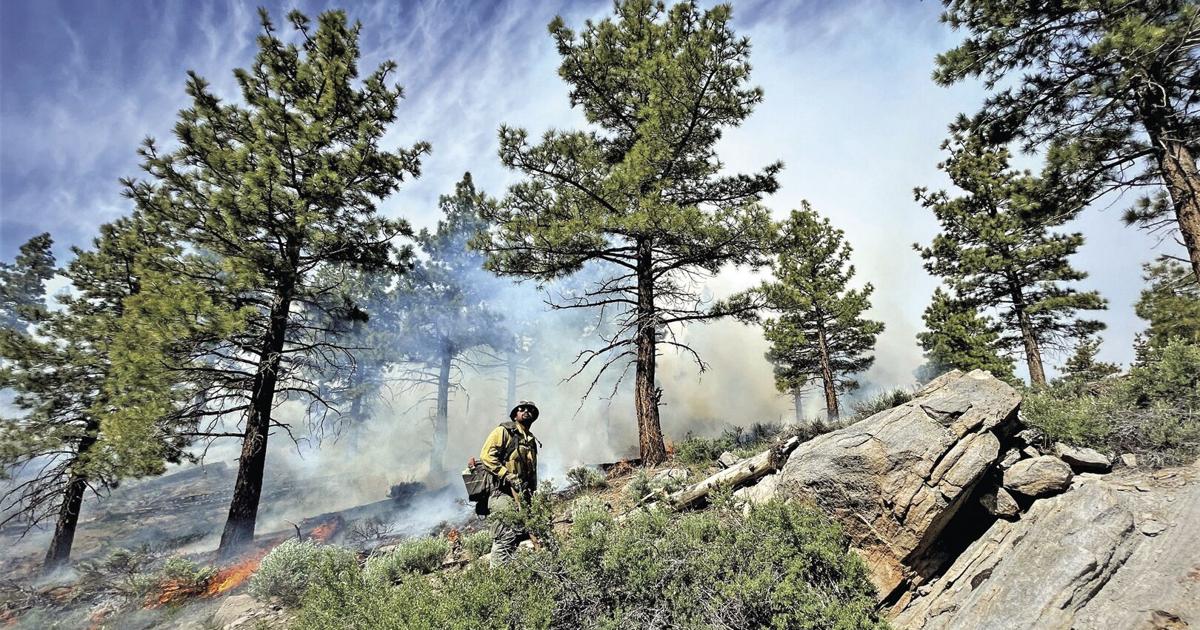 Inyo Complex Fire Inyo National Forest completes 1,713 acres of prescribed burning | News ...