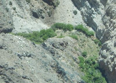 Illegal marijuana grow site discovered in Death Valley