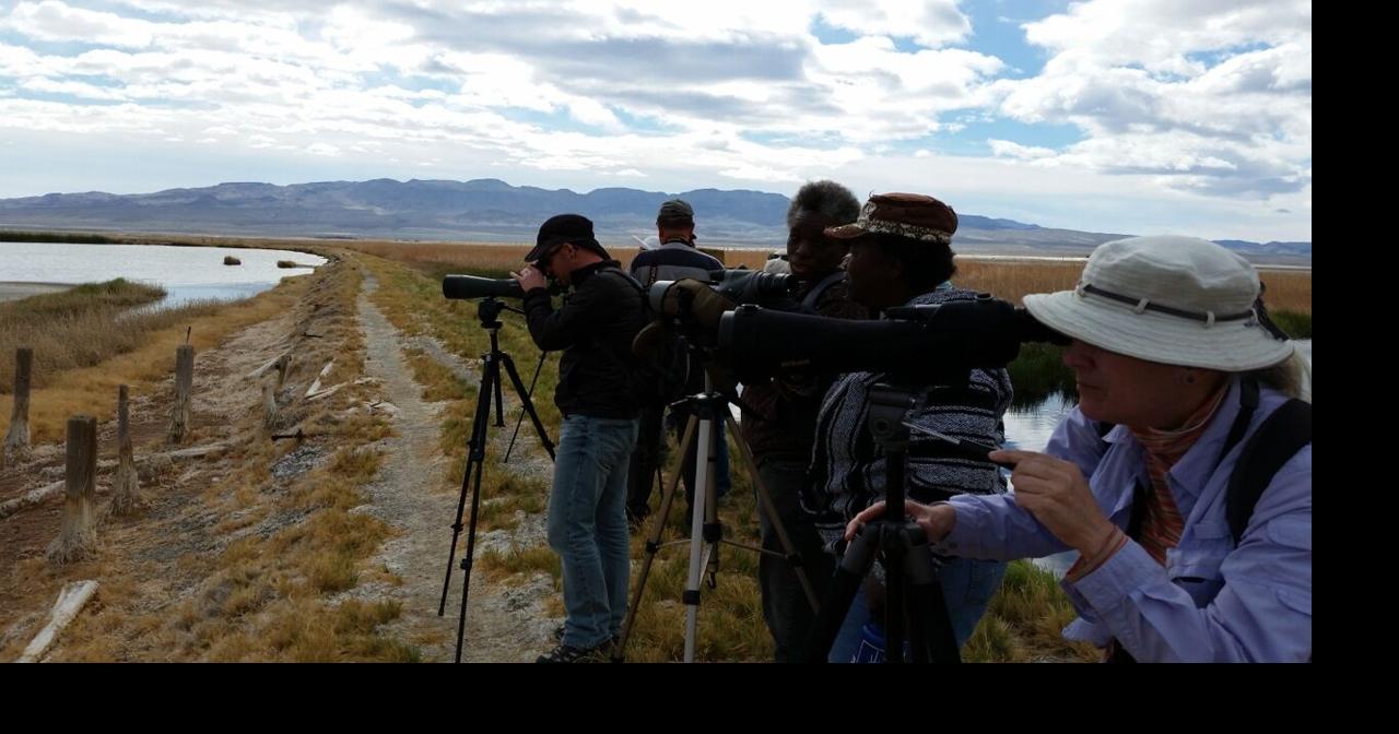 Owens Lake Bird Festival to fly away from Zoom; event set for April 21