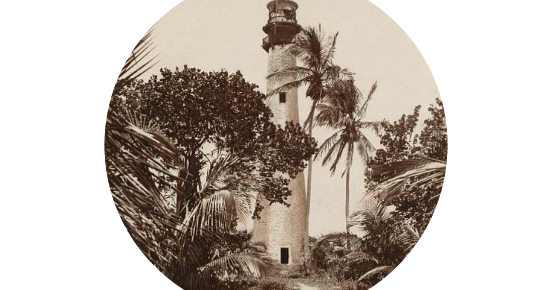 Childhood adventures on the coconut plantation