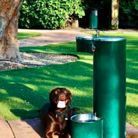 Key Biscayne Dog Park Closing for Sanitation Treatment Key Biscayne Dog Park Closing for Sanitation Treatment