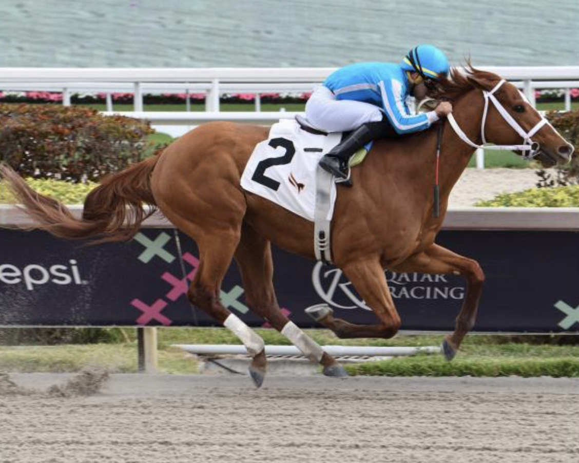 South Florida-based co-owner of Kentucky Derby winner Mage: 'It's