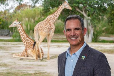 Romano named President & CEO of Zoo Miami Foundation