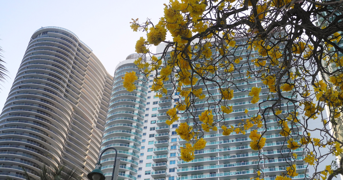 Could granny flats help ease the housing crunch?