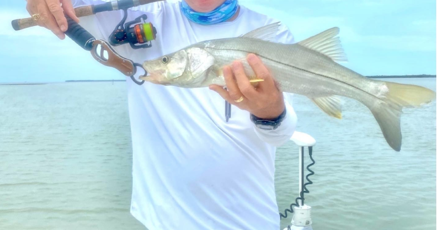 With calmer weather forecast, sailfish should be moving into the spotligh With calmer weather forecast, sailfish should be moving into the spotligh