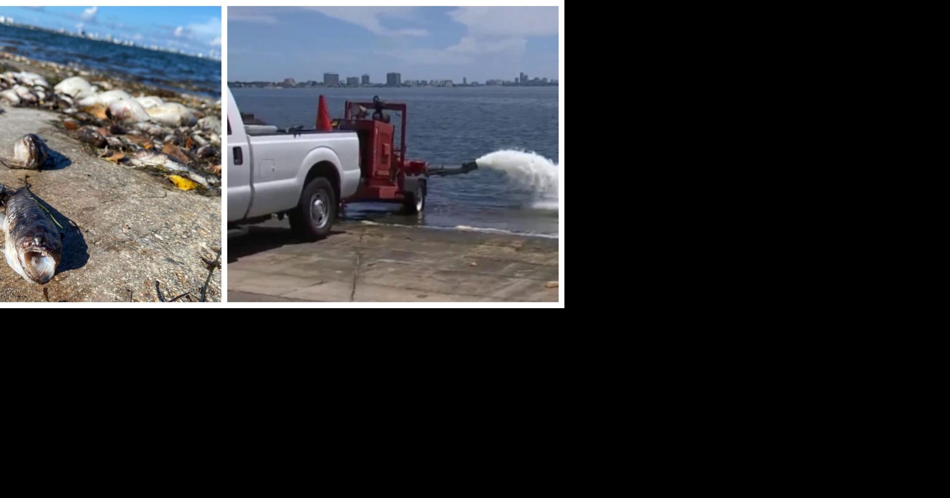 Emergency measures to prevent fish kill conditions announced | News ...