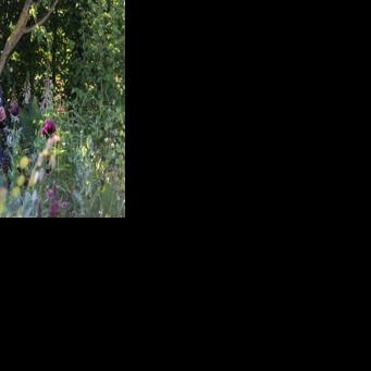 Britain's King Charles III warns the world is 'rapidly going backwards' in curbing climate change and biodiversity in a new Amazon Prime documentary