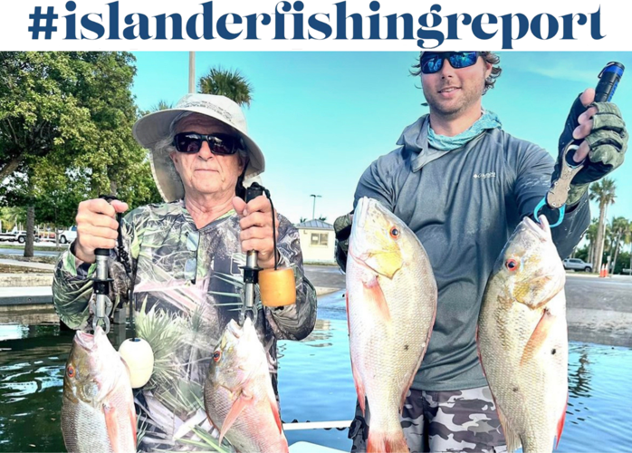 In postMilton area waters, the dolphin fish have easier to