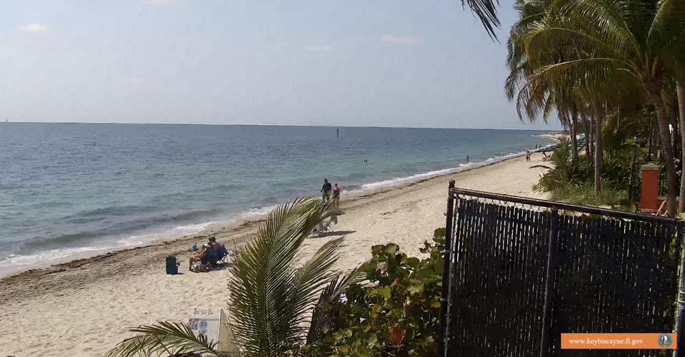 Beach cameras can be used online for seaweed, storms, or tourists Key