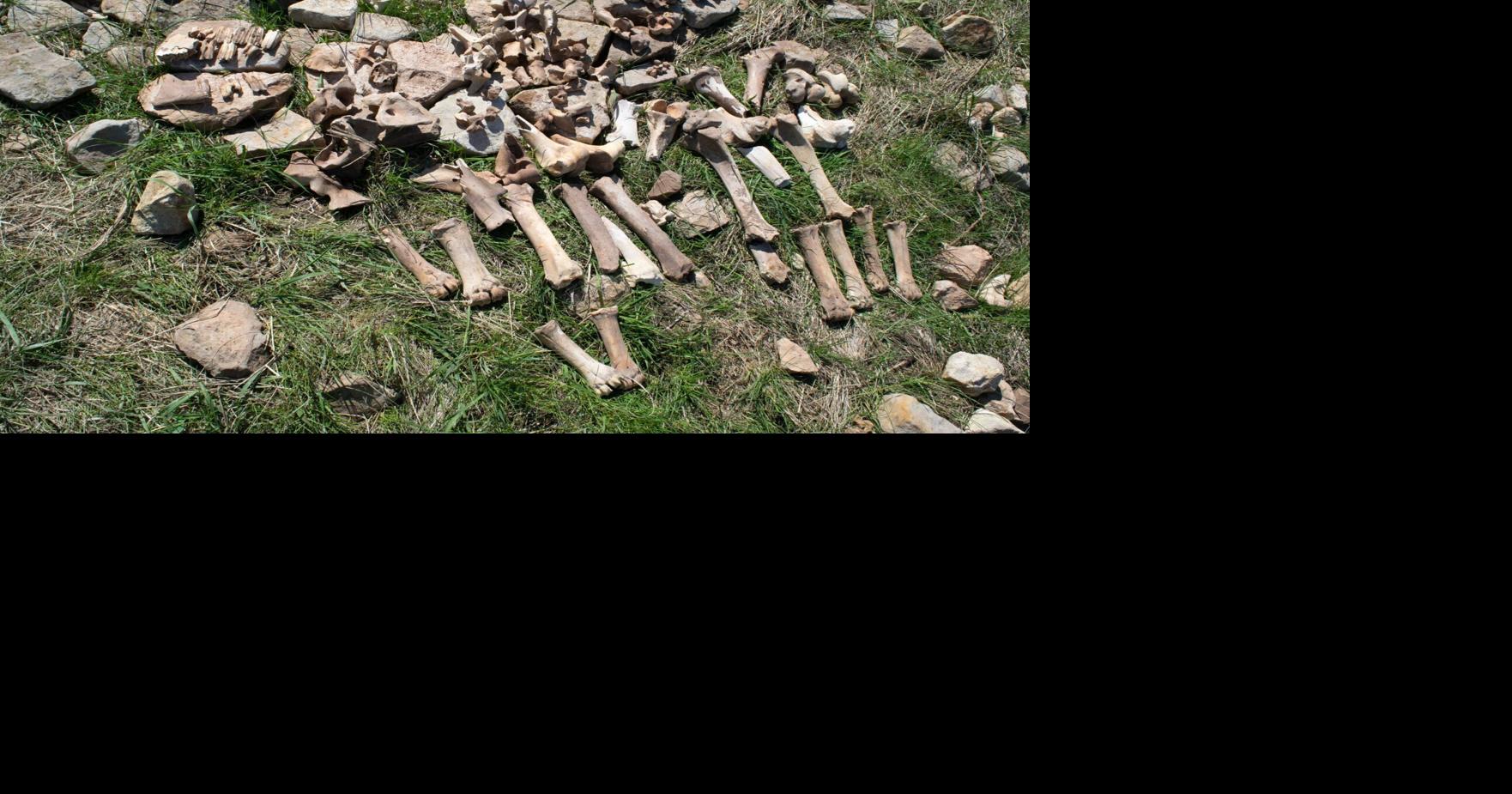 Bison hunters abandoned long-used site over 1,000 years ago due to climate change