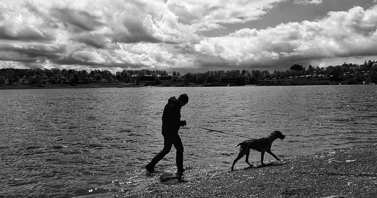 Ocean damage nearly doubles the true cost of climate change