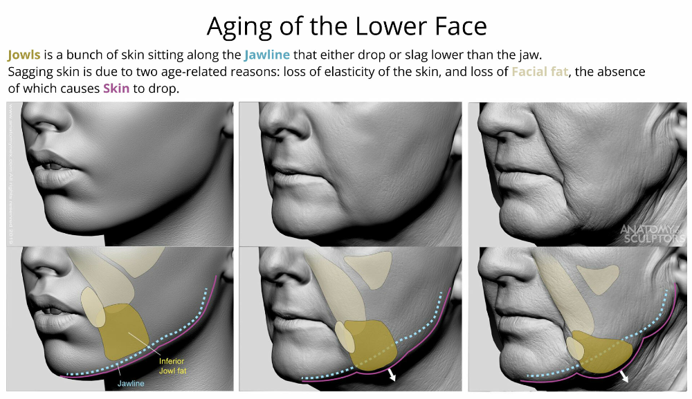 Help is available for an aging jawline | News | islandernews.com