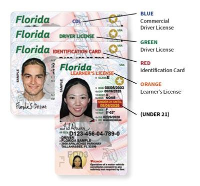Florida Drivers license