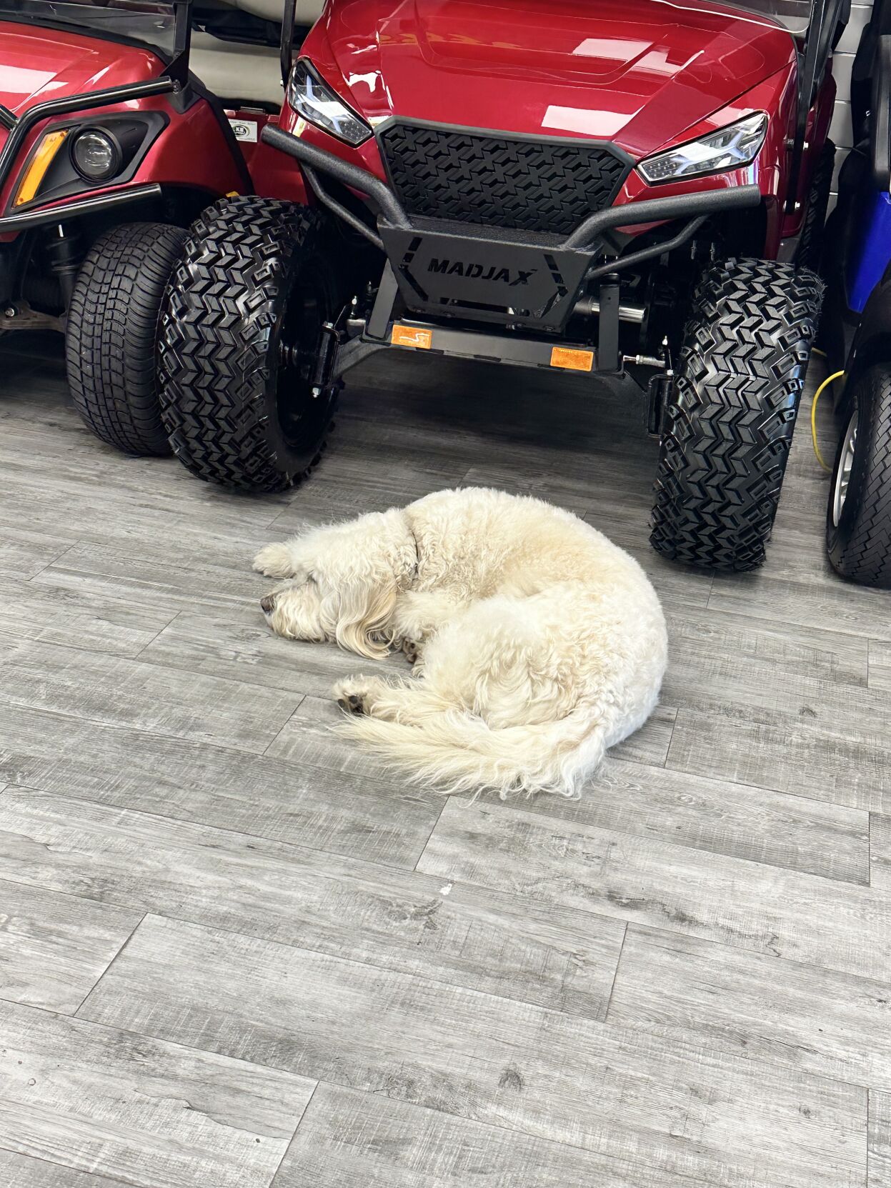 KB Green golf carts moves to roomier location after 15 years Key