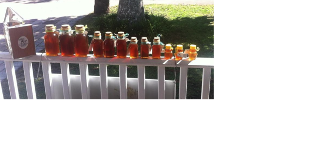 Bees are essential island pollinators – and their honey is both tasty and healthy for you - Vimarsana News