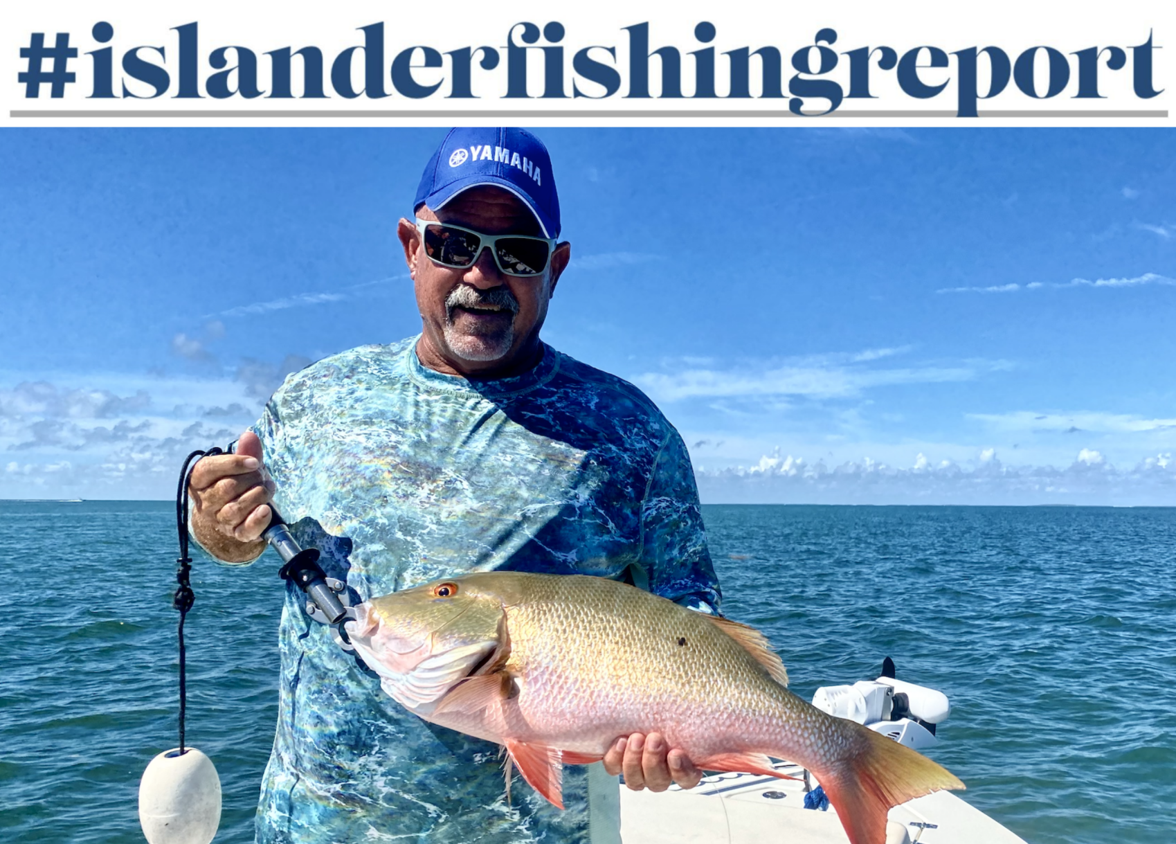 With plentiful baitfish migrating the area, this is the best time to be 