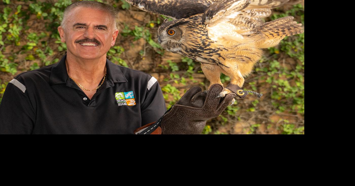 Rare wildlife event coming exclusively to Zoo Miami | Miami ...