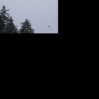 Lindsey Vonn is transported by helicopter after crashing