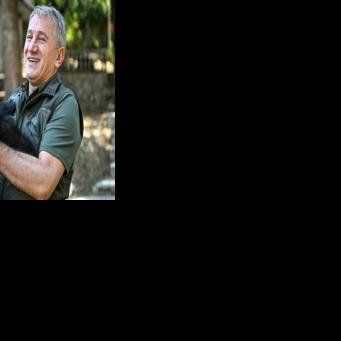 Fahrettin Ulu, regional director of Istanbul's Nature Conservation and National Parks directorate said it was the first time a gorilla had been seized at Istanbul airport
