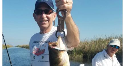 Rough seas slowed things, but swordfish were order of the day in calmer seas Rough seas slowed things, but swordfish were order of the day in calmer seas