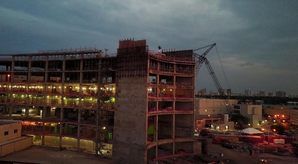 Ceremonial palm tree shines light on Mount Sinai’s important connection