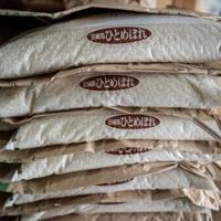 Rice prices in Japan soared 99.2 percent in June year-on-year, official data showed Friday, piling further pressure on Prime Minister Shigeru Ishiba ahead of elections
