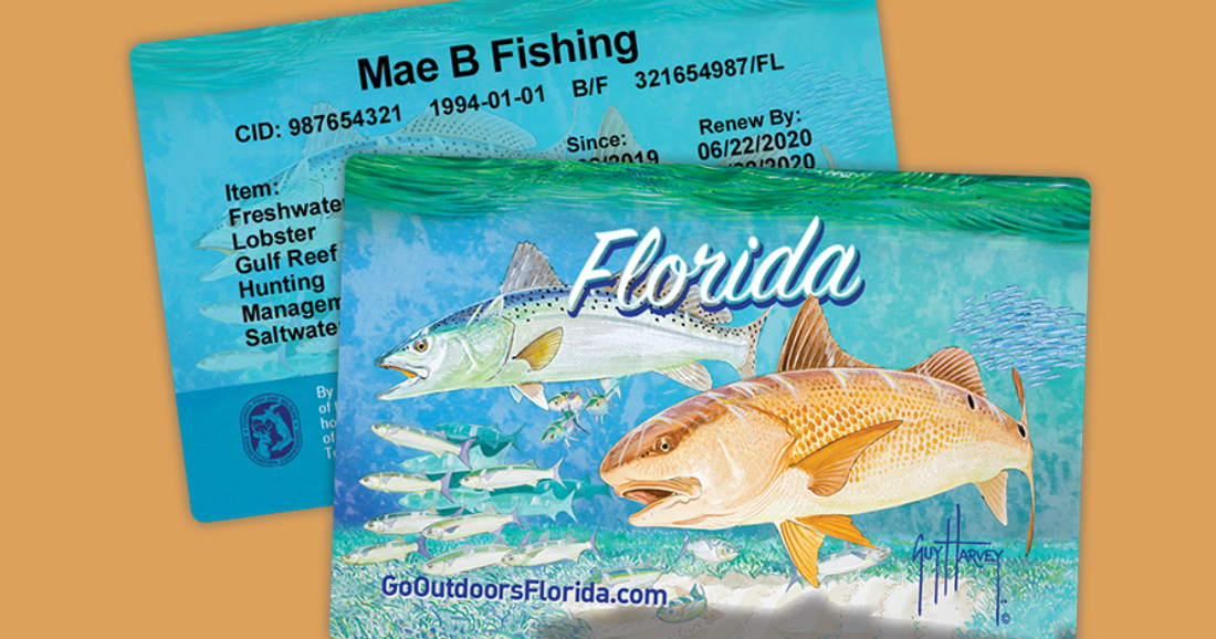 New FWC Fishing License Rule Sparks Backlash