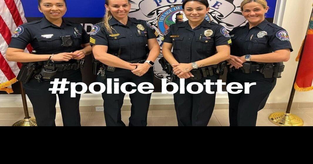 Child restraint violation, battery, and pride flag vandalism among