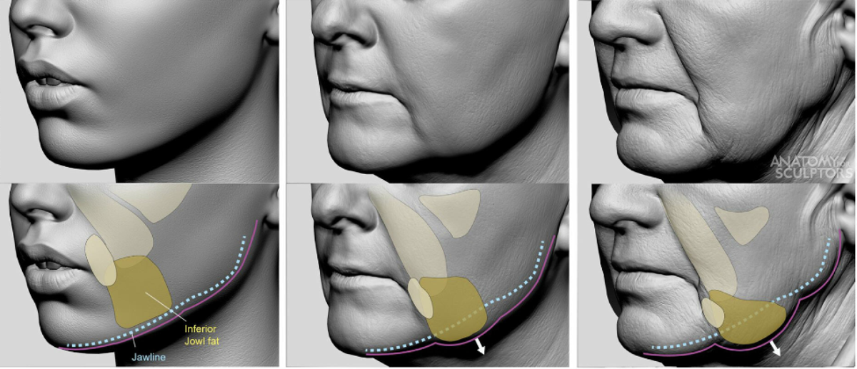 Help is available for an aging jawline News