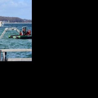 German media have broadcast the hapless creature lying motionless in shallow water for hours on end